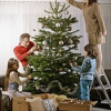 Holiday Tree picture